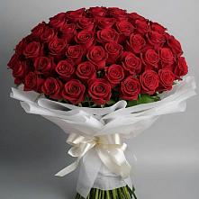 Букет 101 Красная роза Блэк Мэджик в Октябрьской