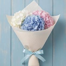 Букет цветов из:  Гортензия в Октябрьской