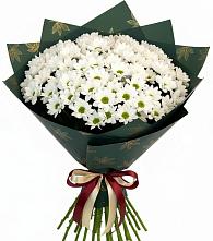 Букет цветов из:  Хризантемы #REPLACE_PRED# Октябрьской