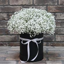 Цветочная композиция из Гипсофила в шляпной коробке в Октябрьской