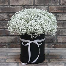 Цветочная композиция из Гипсофила в шляпной коробке в Октябрьской